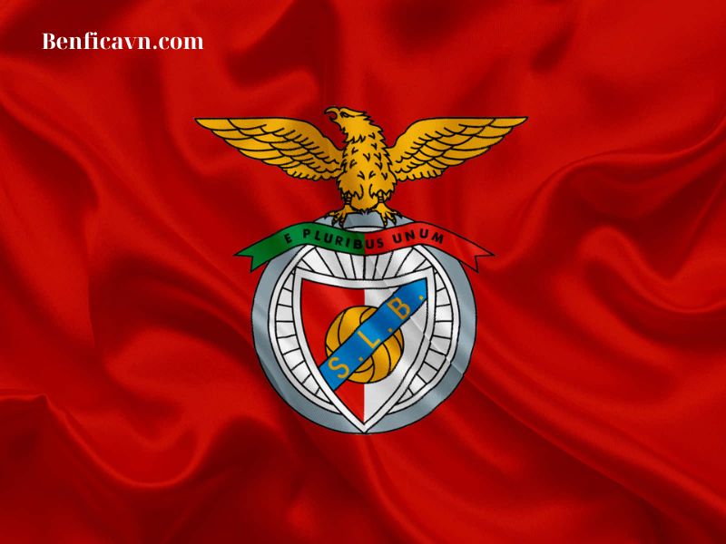 Tiểu sử Benfica