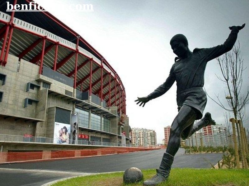 Trải nghiệm Benfica