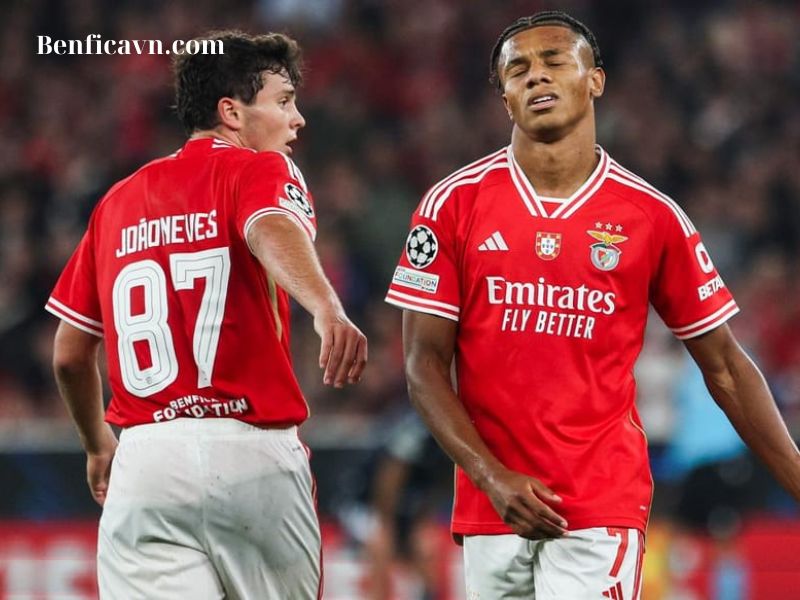 đội hình benfica