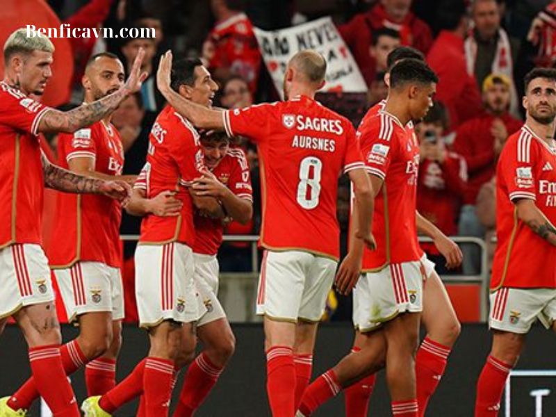 đội hình benfica